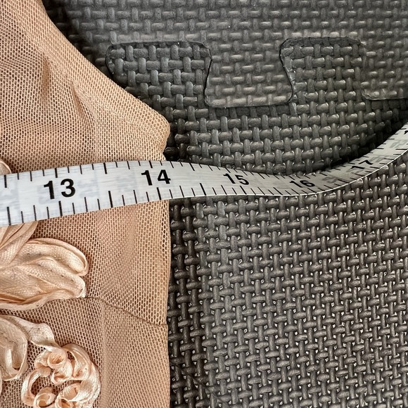 Akira Chicago Black Label Floral Applique Sheer Short Sleeve Bodysuit Sz Sm Nude - Picture 9 of 12